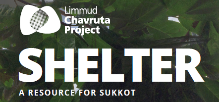 Shelter: A Resource for Sukkot from Limmud