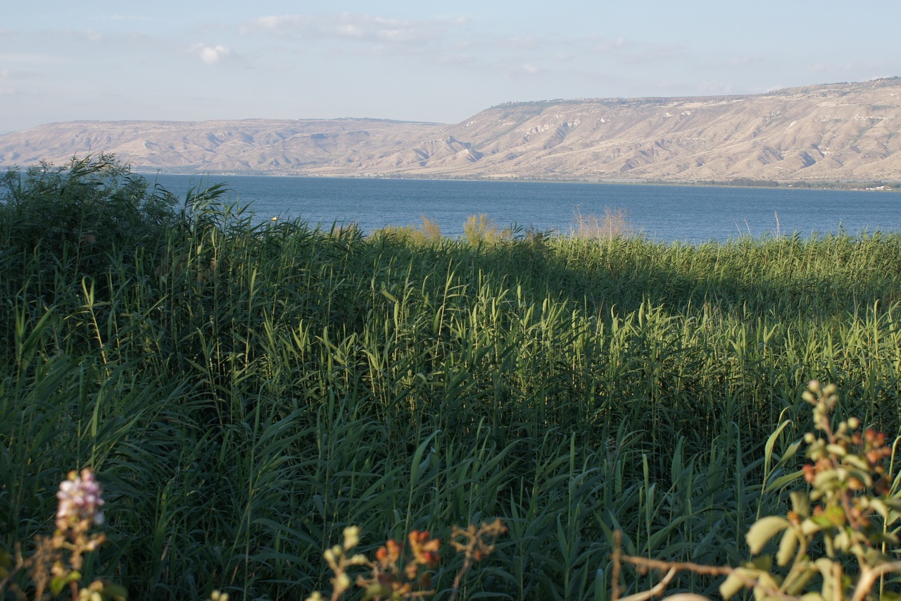 KKL-JNF: Moving Forward With the Galilee
